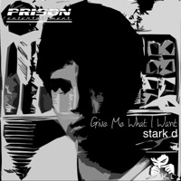 Give Me What I Want - Stark D