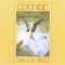 Another Day - Cochise lyrics