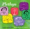 'Fuoch chi 'rioed yn Morio? - Plethyn lyrics