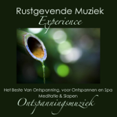 Rustgevende Muziek Experience: Het Beste Van Ontspanning, voor Ontspannen en Spa, Meditatie & Slapen (Ontspanningsmuziek) - Ontspanning Sound