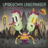 Upsidedown Underwater