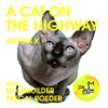 A Cat On the Highway - Single