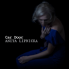 Car Door - Anita Lipnicka