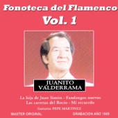 Fonoteca del Flamenco Vol. 1 artwork