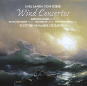 Clarinet Concerto No. 1 in F Minor, Op. 73, J. 114: II. Adagio ma non troppo artwork