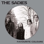 The Sadies - Why Would Anybody Live Here?