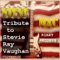 Tribute to Stevie Ray Vaughn - Steve Mac lyrics