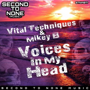 Voices in My Head - Single