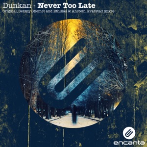 Never Too Late - Single