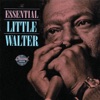 The Essential Little Walter artwork