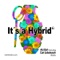 It's a Hybrid (Cari Lekebusch Remix) - Abi Bah lyrics