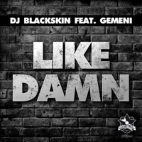 Like Damn (feat. Gemeni) - EP - DJ Blackskin
