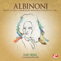 Sinfonie e concerti a 5, Op. 2: Sonata No. 6 in G Minor - Single - Collegium Pro Arte & Kurt Redel