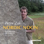 Nordic Noon artwork