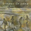 Strand of Oaks