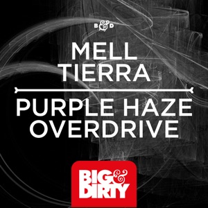 Purple Haze / Overdrive - Single
