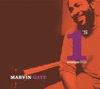 Marvin Gaye - Let's Get It On