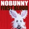 Gone for Good - Nobunny lyrics