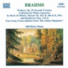 Brahms: Waltzes - Cadenzas - Die Schone Magelone artwork