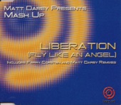 Liberation (Fly Like an Angel) [Matt Darey Remix] artwork