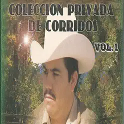 Colección Privada De Corridos - El Halcon de La Sierra