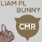 Bunny (WAC IV Remix) - LIAM PL lyrics