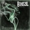 Fire (feat. Damian Jr. Gong Marley) - Single