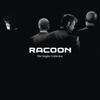The Singles Collection - Racoon