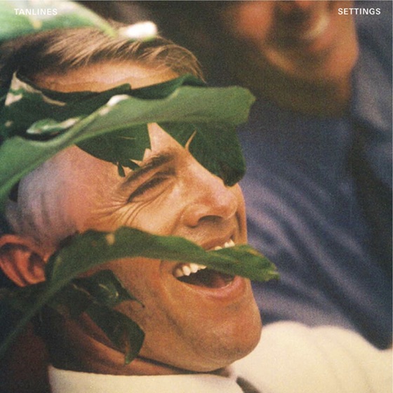 Cover artwork for Bees