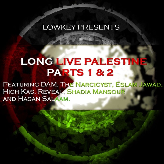 Cover artwork for Long Live Palestine (Instrumental)