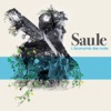 Saule - L'économie des mots
