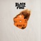 Young Blood - Black Pistol Fire lyrics