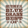 Instrumental Bluegrass - Best Of, 2012