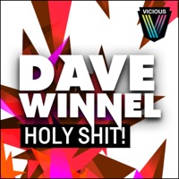 Holy Shit! (Remixes) - EP - Dave Winnel
