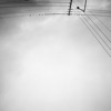 Hummingbird - Single