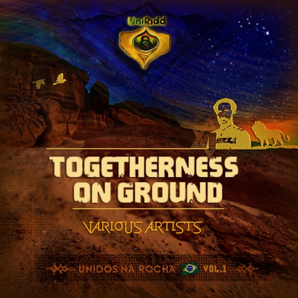 UniRidd Project: Togetherness On Ground