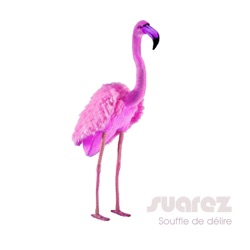 Suarez - Un souffle de délire