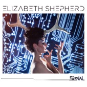 Elizabeth Shepherd - Willow (feat. Lionel Loueke)