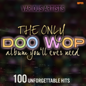 The Only Doo Wop Album You'll Ever Need (100 Unforgettable Hits)
