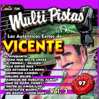 Hermoso Cariño (karaoke) — MMP