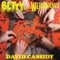 Plastic - Betty and the Werewolves lyrics