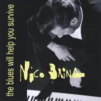 I Have No Reason To Love You Anymore — Nico Brina