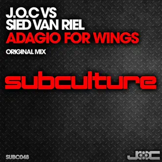 Adagio for Wings by Joc & Sied van Riel song reviws