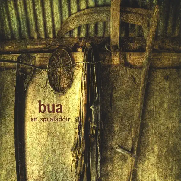 Tá Na Páipéir Dhá Saighneáil — Bua