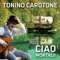 Il santo - Tonino Carotone lyrics