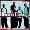 Bonde do Tigrão - Caçador Do Tchutchuquinha