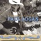 You Make the Microphone Smell Like Beer - Paul Logan lyrics