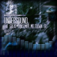 The Great Consumer Meltdown - Undersound