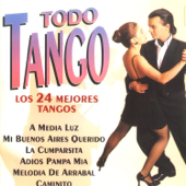 Todo Tango - Various Artists