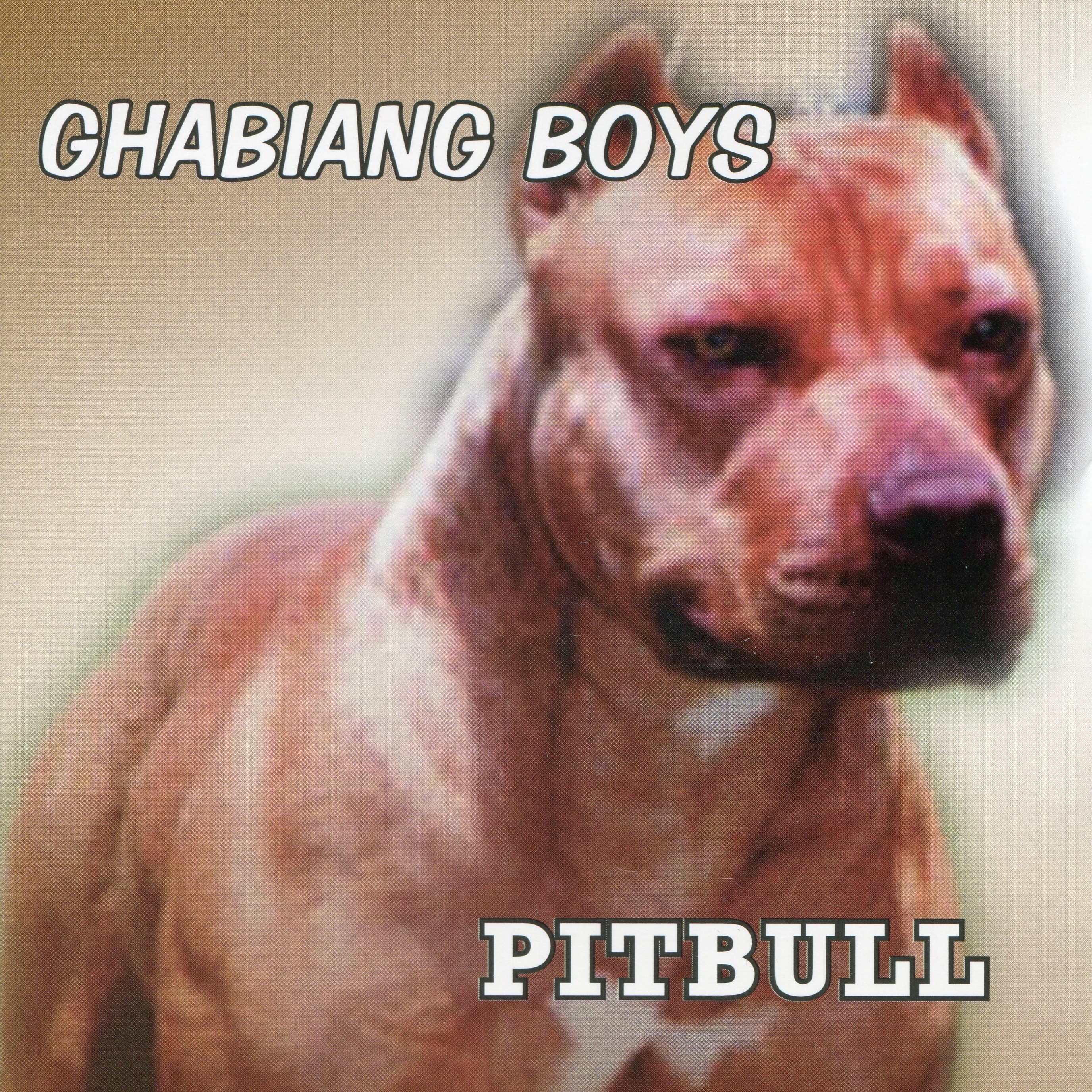 Pitbull